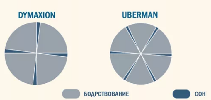 Схемы полифазного сна